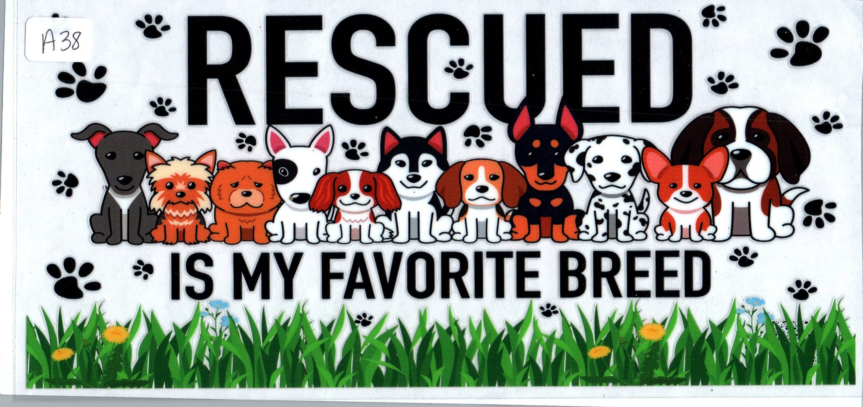 A38 Resued is my favorite Breed