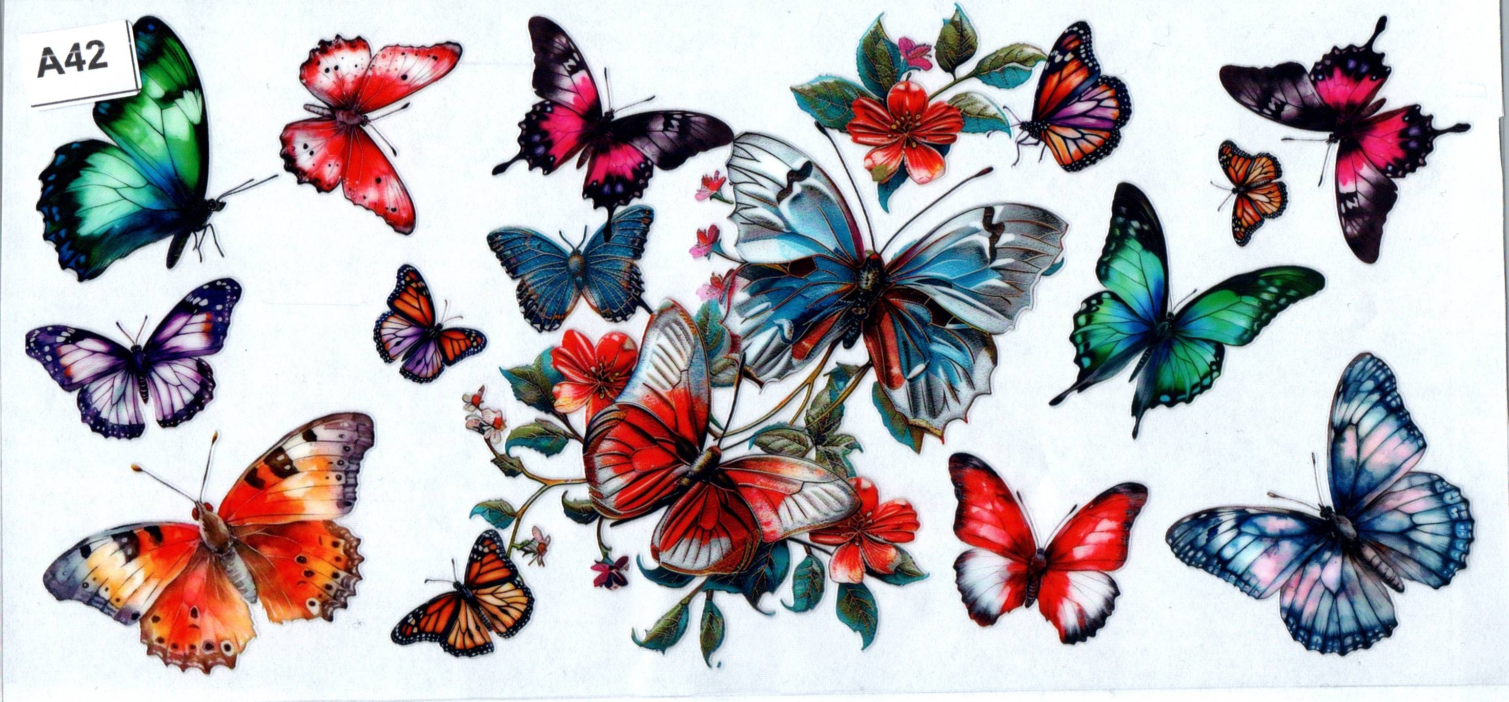 A42 Butterfly