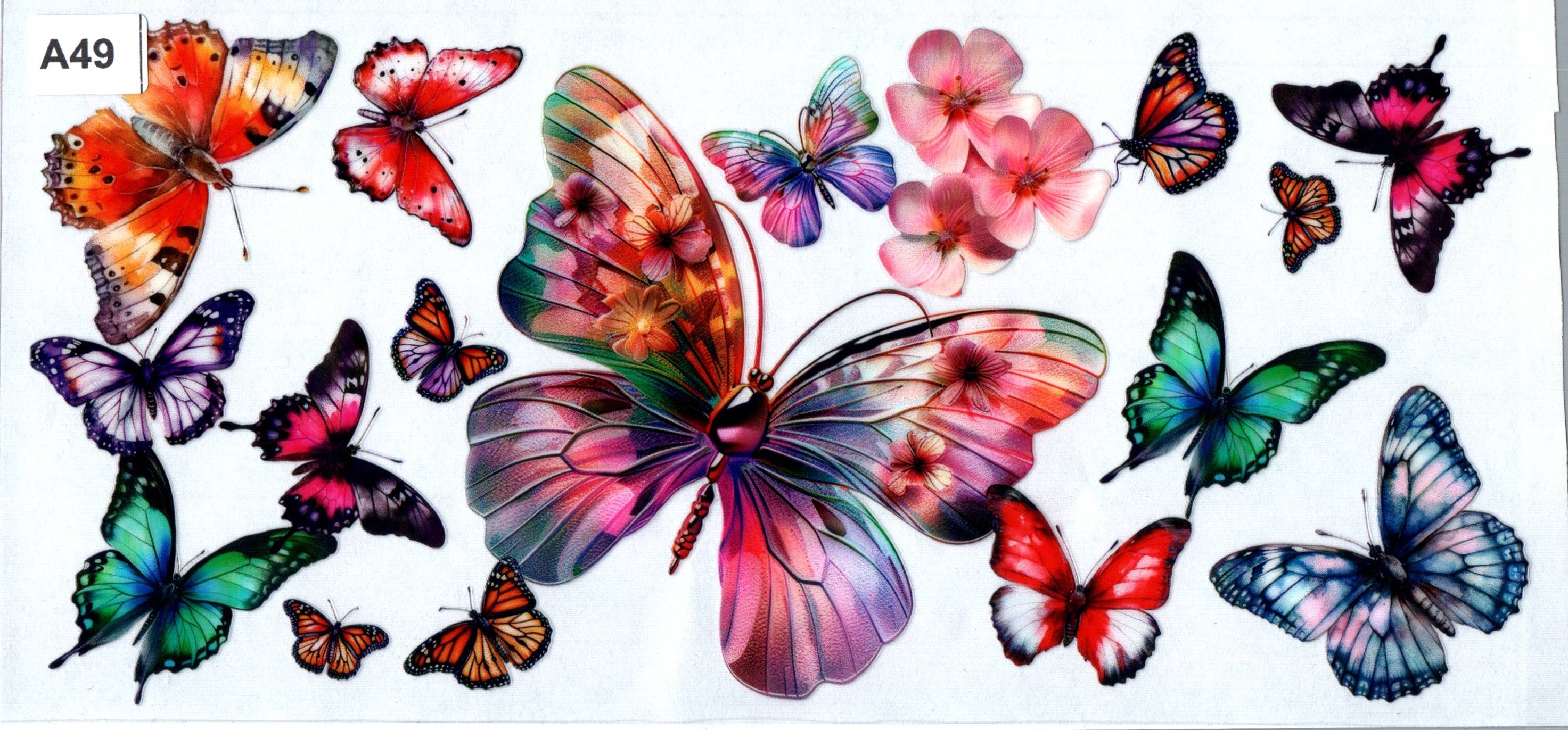 A49 Butterfly and Flowers