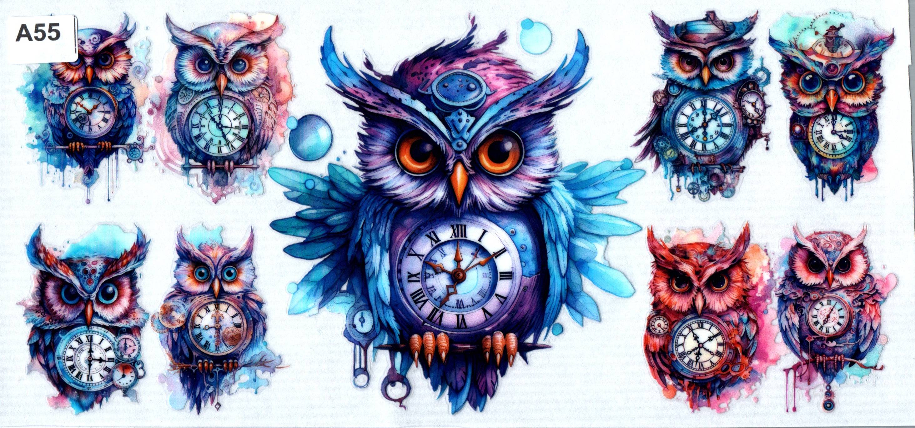 A55 Owl