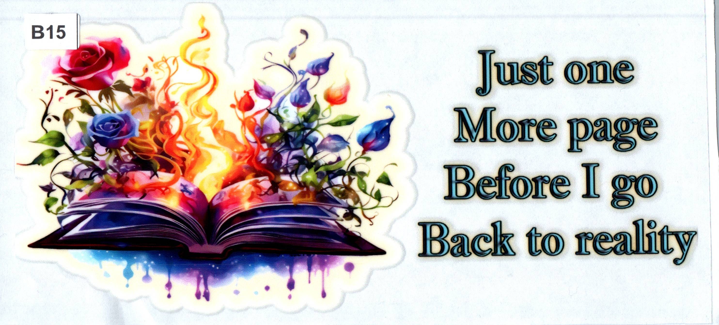 B15 Just One More Page