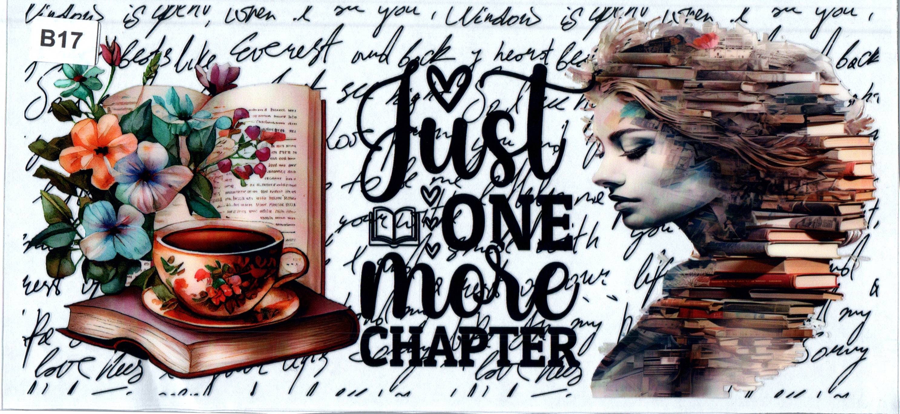 B17 Just One More Chapter