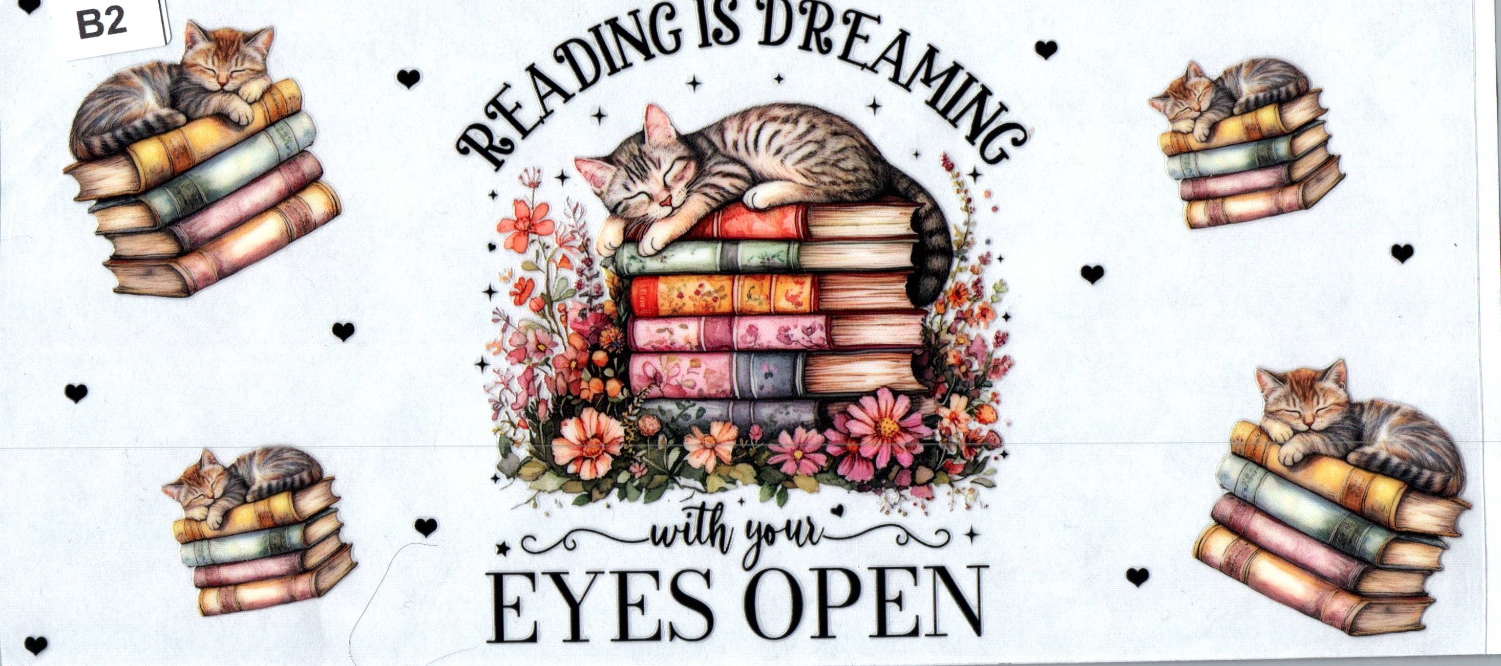 B2 Reading is Dreaming...