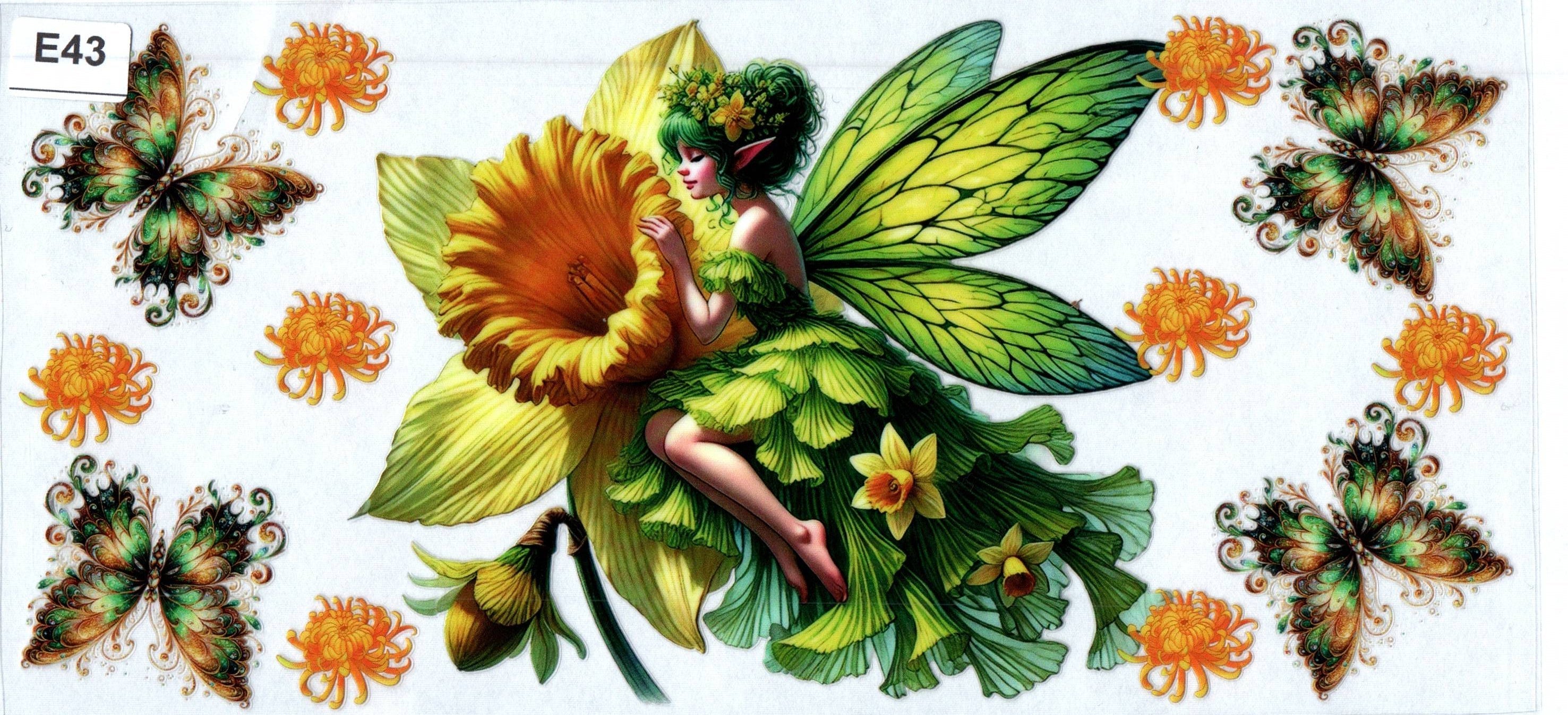 E43 Fairy