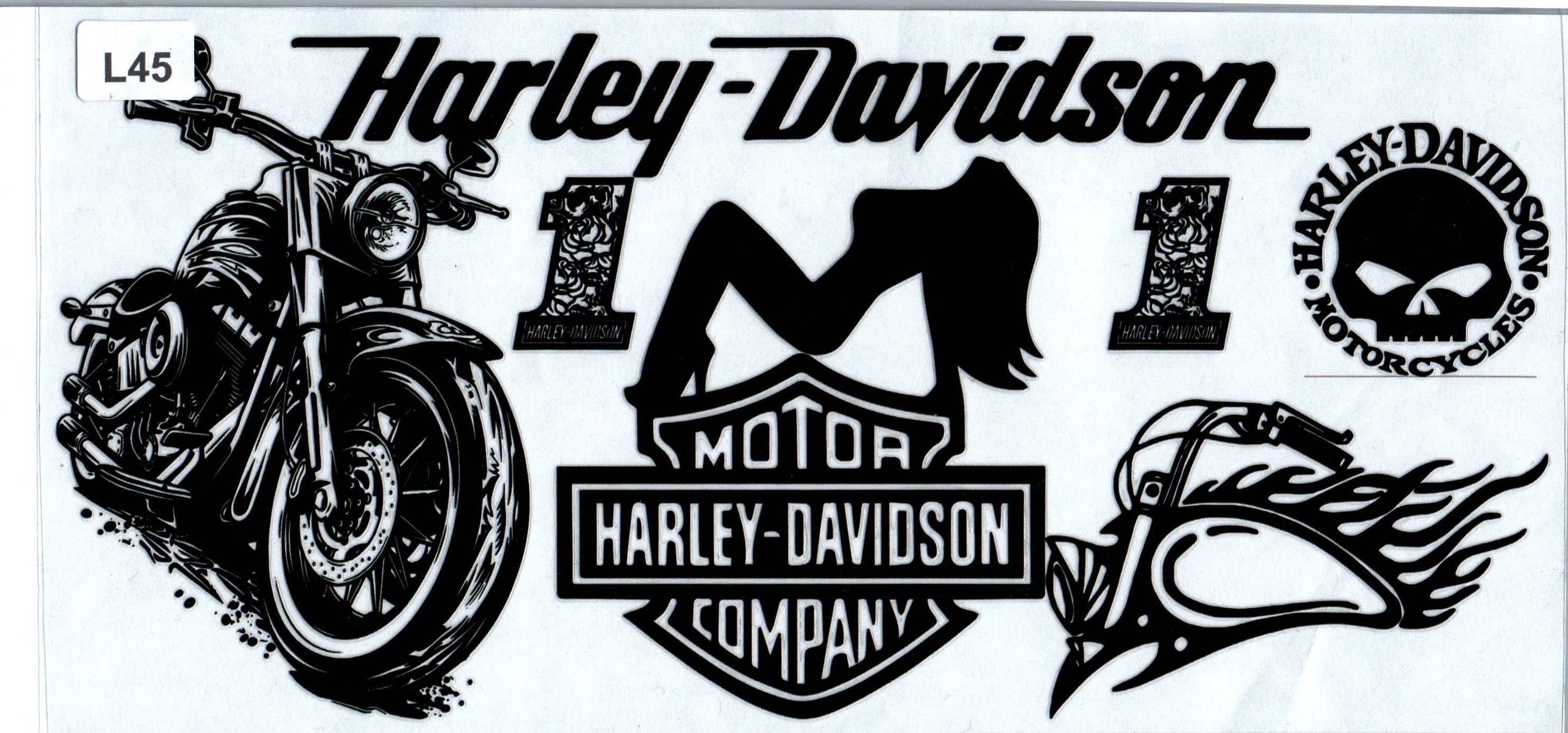 L45 Harley Davidson