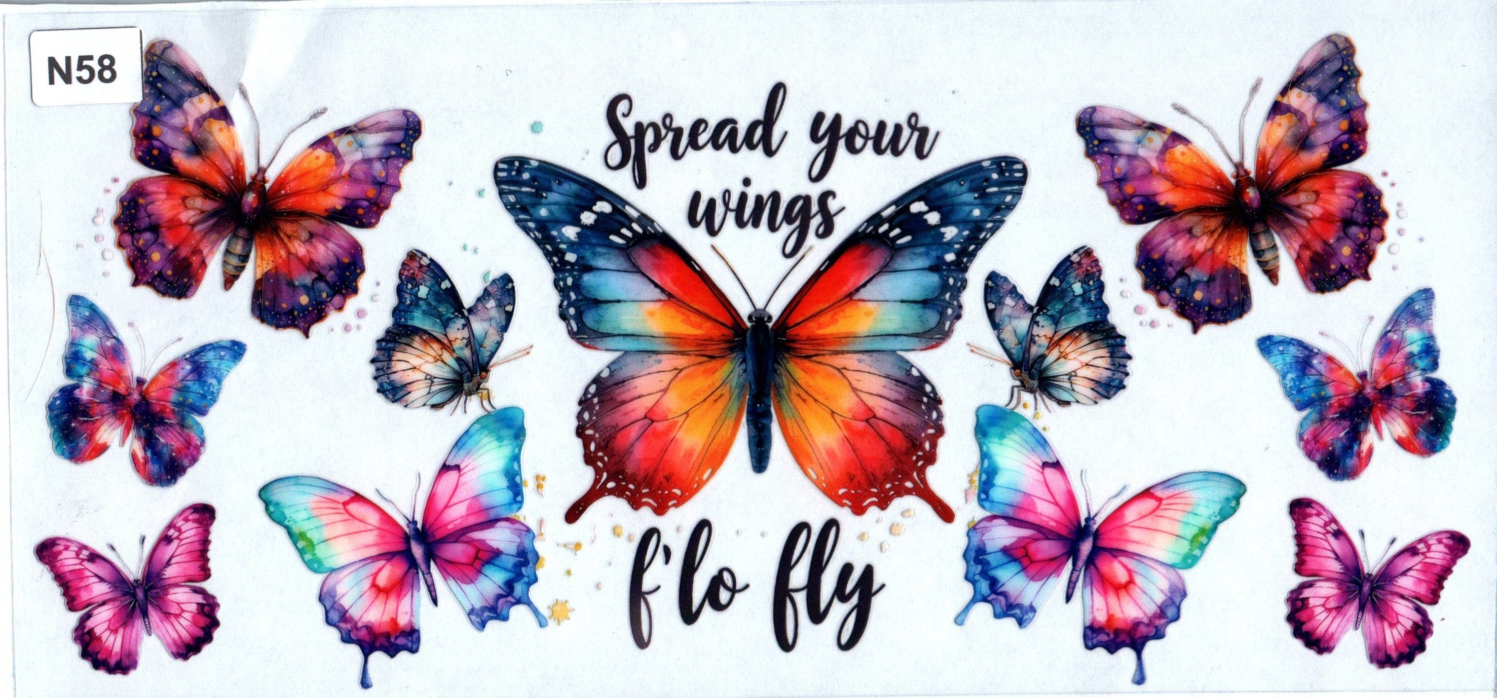 N58 Spread Your Wings