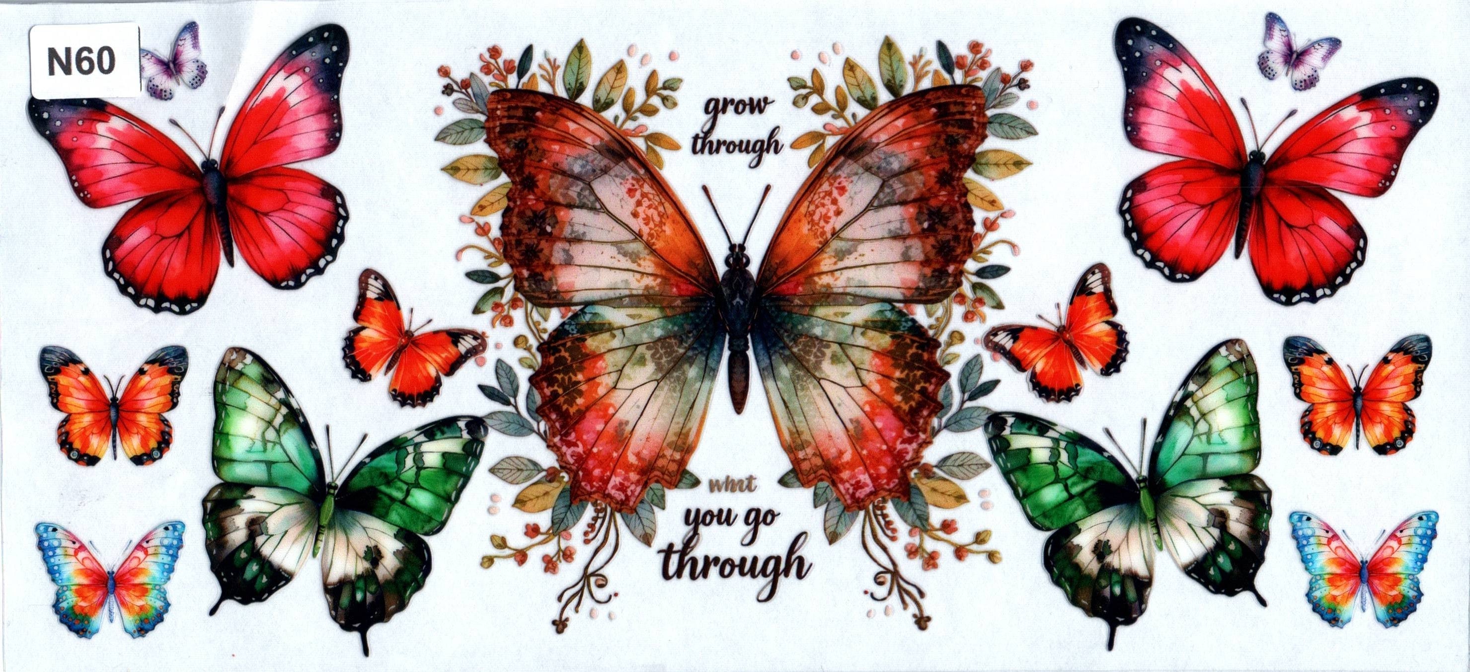 N60 Grow Through What You Go Through