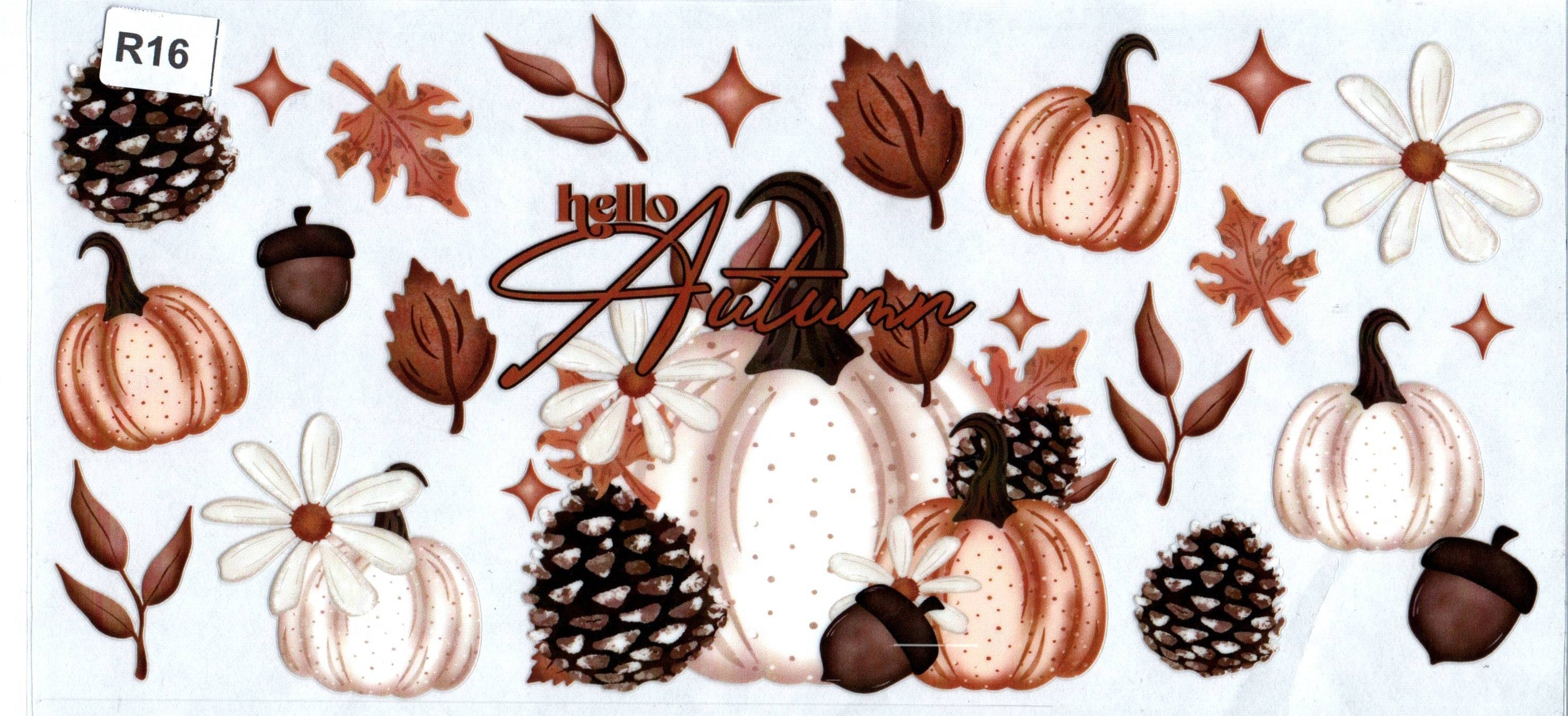 R16 Hello Autumn